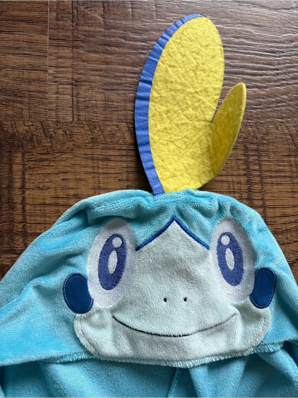 Pokemon soft one